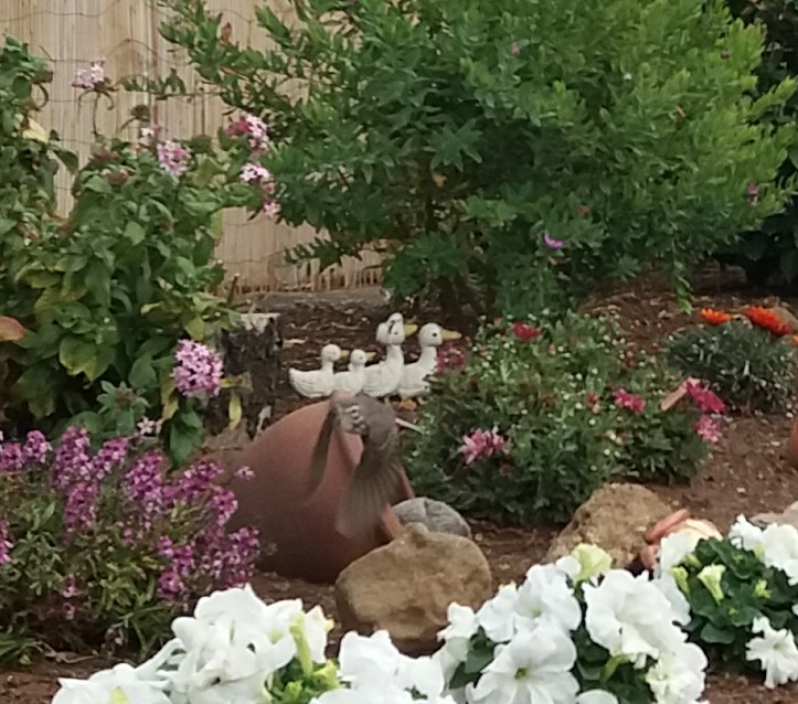 Se ve un caminero canario alzando el vuelo en un pequeño jardín. 