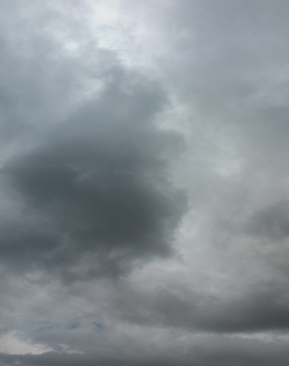 La dama del cielo, que viene y va, como el viento que la atrae, como el viento que la aleja;