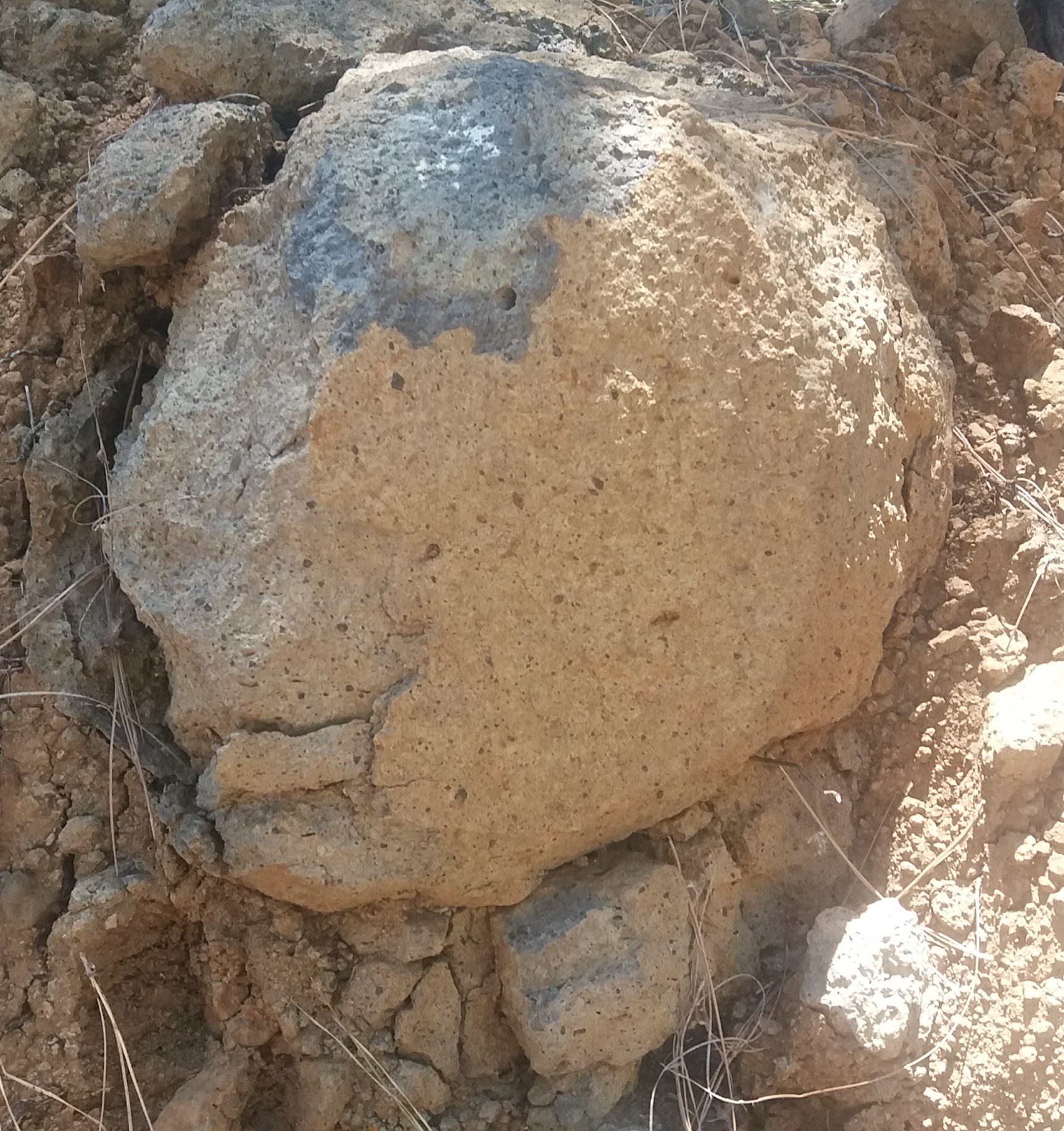 Con su mirada me miro, y de su boca un hola salió. Tuvimos una pequeña y sugerente conversación. Y en el monte de pinos en la pausa del camino, seguimos charlando, hasta que retomé de nuevo el camino.