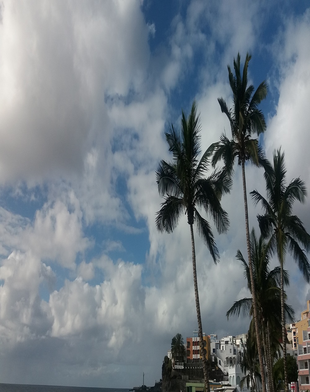 se ve una fotografía con el mar de fondo, las nubes, un faro de mar, unas palmeras en la playa.