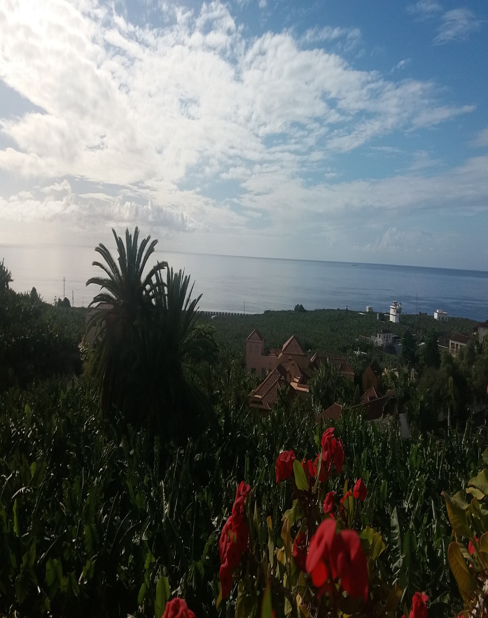 Se ve una fotografía con flores y plataneras; las palmeras relucientes, el hotel del arte, y el mar junto a las nubes, con azules de variadas tonalidades. Todo a la vez.