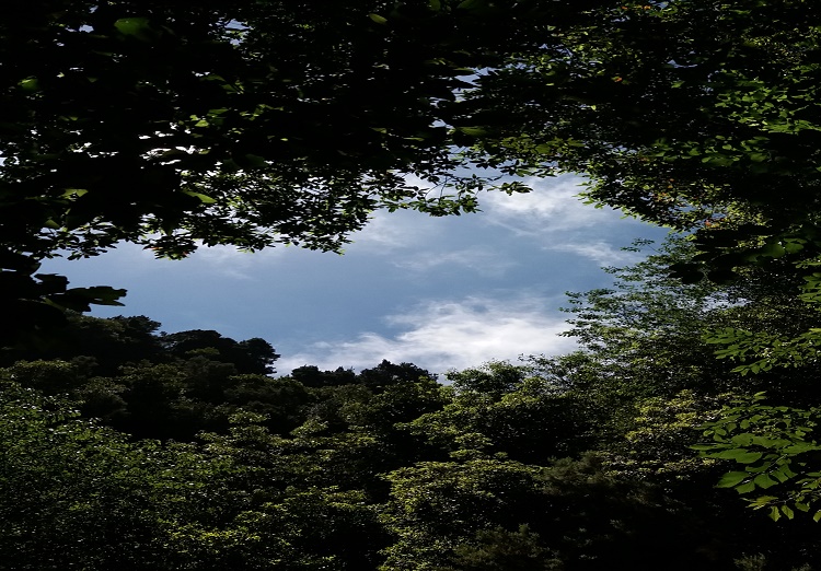 a través del cielo azul vemos los colores