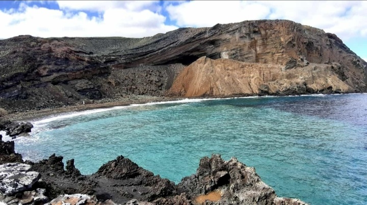 Se ve una cala volcánica con un mar color turquesa; una gaviota esta en la orilla.