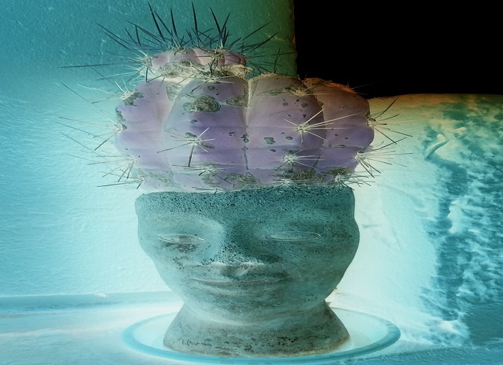 Escultura de mujer con pelo de cactus