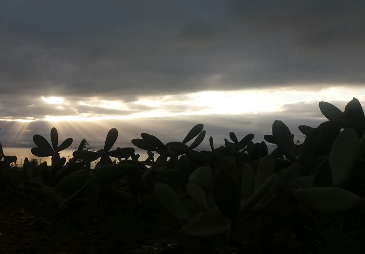 música en el cielo, sinfonías de nubes y tuneras a son
