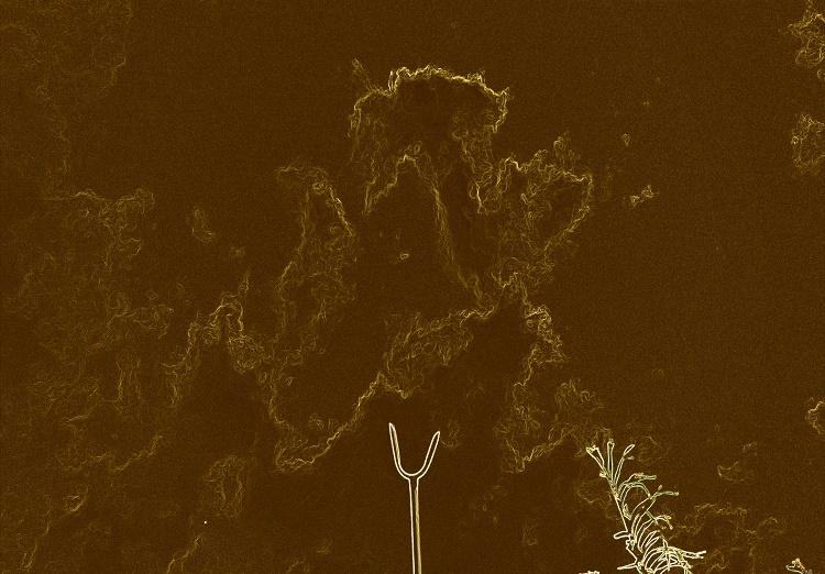 Un día soleado con nubes en el cielo; una estaca, y una hoja de una platanera; conceptual, todo es conceptual.