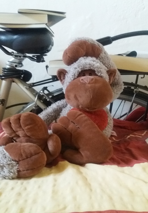 Un peluche de gorila con libros, y una bicicleta