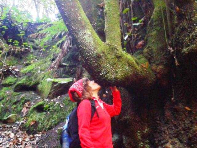 Un beso profundo a un árbol, coqueto y cariñoso.
