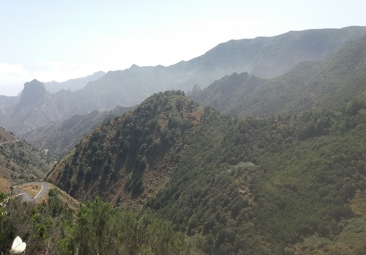 se ve los perfiles de los inmensos barrancos de la gomera