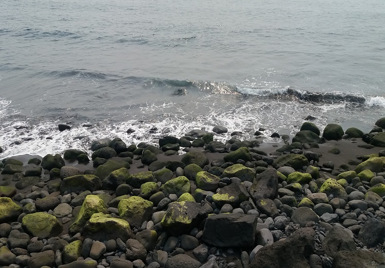 Un callao de piedras con musgo. Significa que sus aguas son limpias.