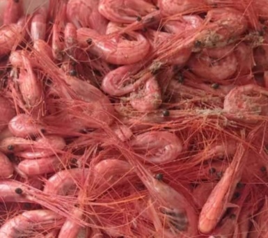 una plato de camarones listos para comer; con sabor a mar; ¡ay1, ay que rico.