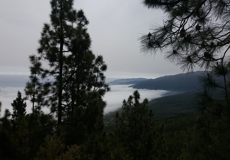 El mar de nubes en la corona del Teide; por encima de las nubes.