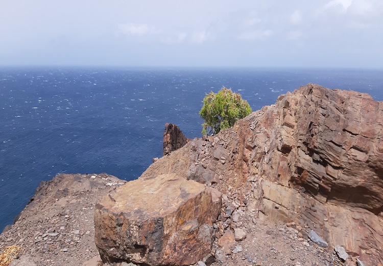 Se ve la panorámica desde un peñasco, con el viento en el mar, y un pequeño arbusto de vigilia