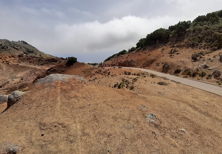 Se ve una pista en un paisaje que parece casi desértico, donde se confunden el monte, las huertas y el viento