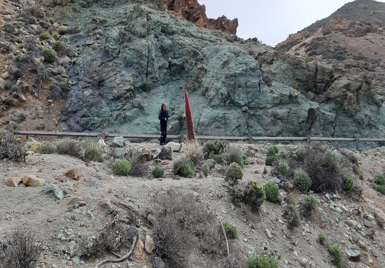 Los colores del volcán Teide, sus tajinastes rojos gigantes y yo.