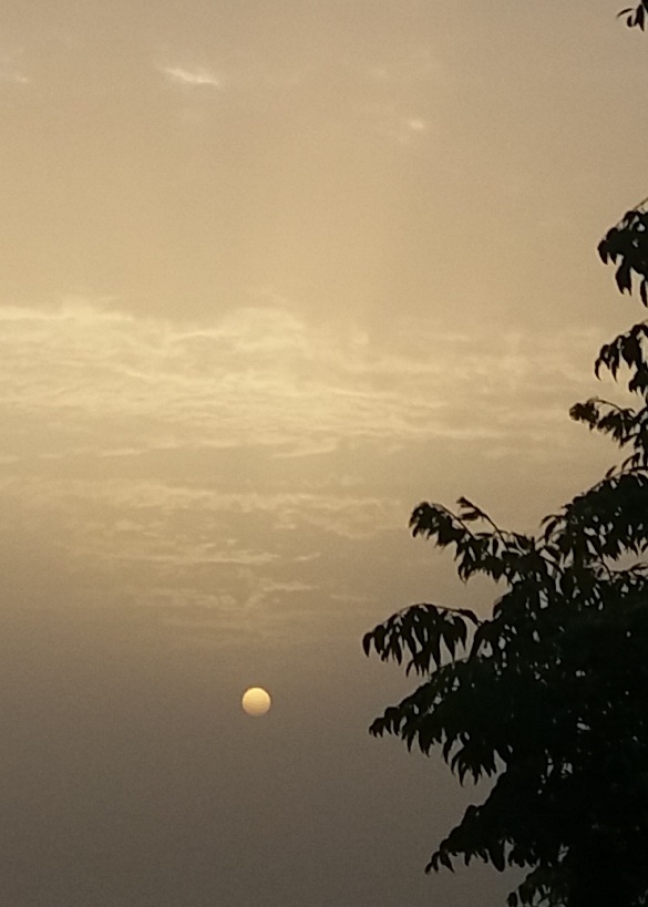Se ve el sol que parece la luna. Un punto redondo arriba en el cielo.