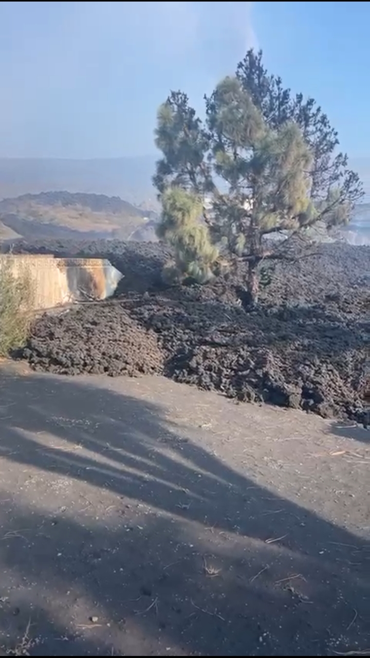 Se ve como la lava entra en mi jardín rodeando a mi viejo pino centenario. Seguro que volverá a crecer