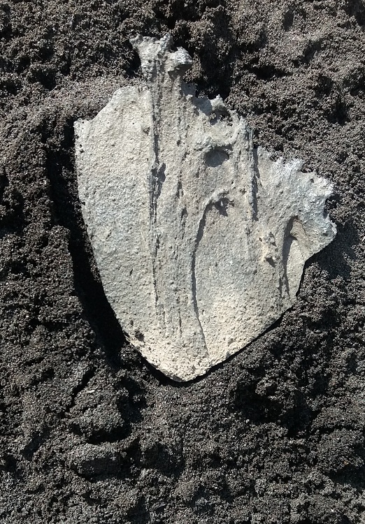 Se ve un corazón de lava en un montículo de cenizas. De eso estamos hechos todos los palmeros