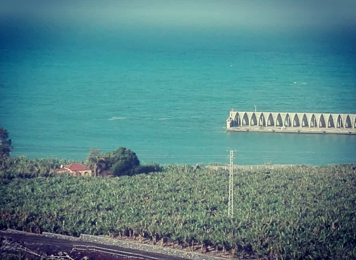 Se ve un paisaje con el mar verde