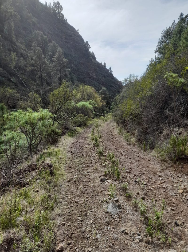 sendero de los pasitos