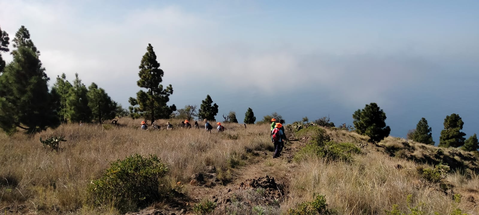 Por encima de las nubes caminamos por los caminos de Tijarafe al natural