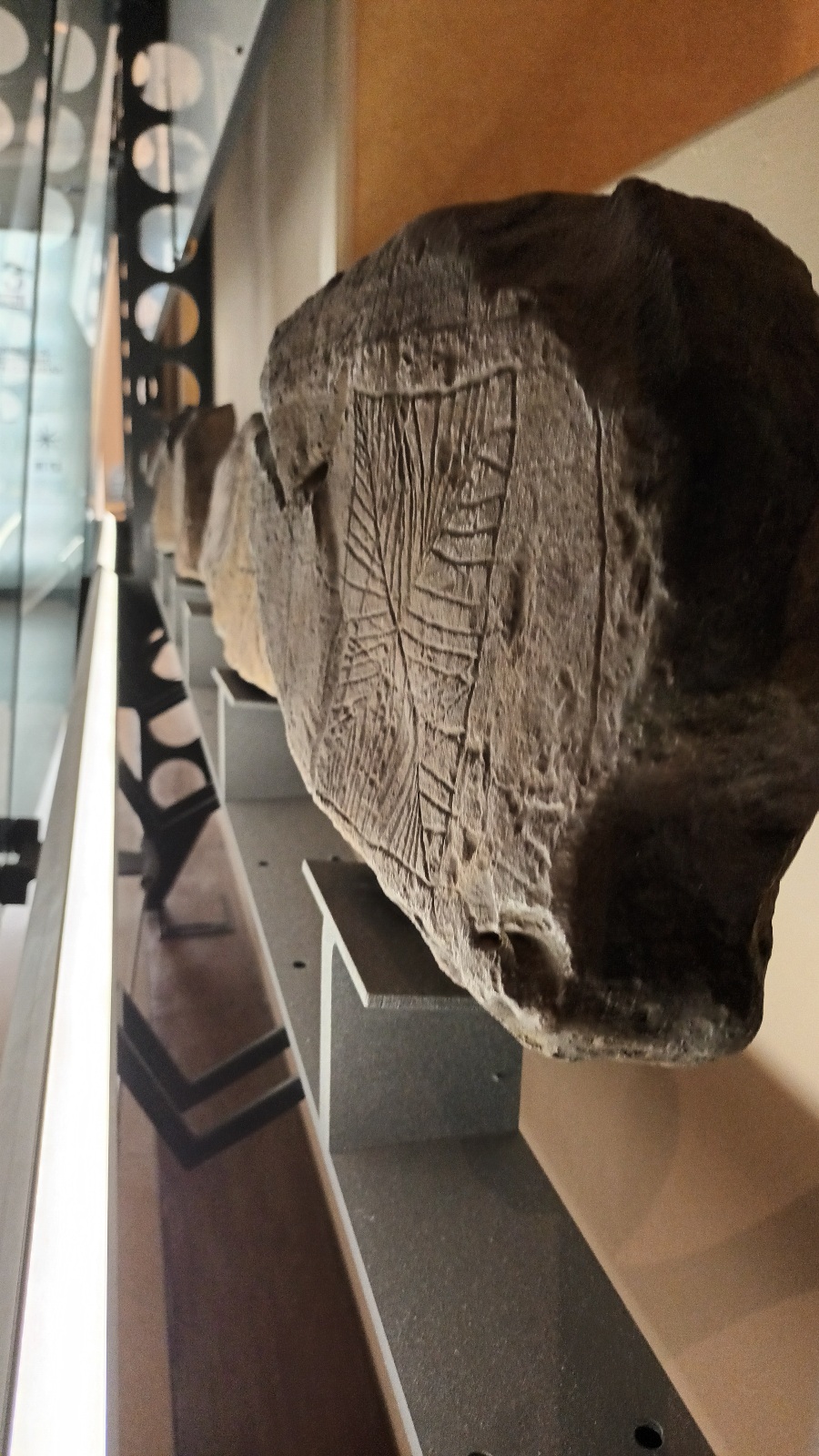 Parece la ballena petroglifo, con sus enigmas