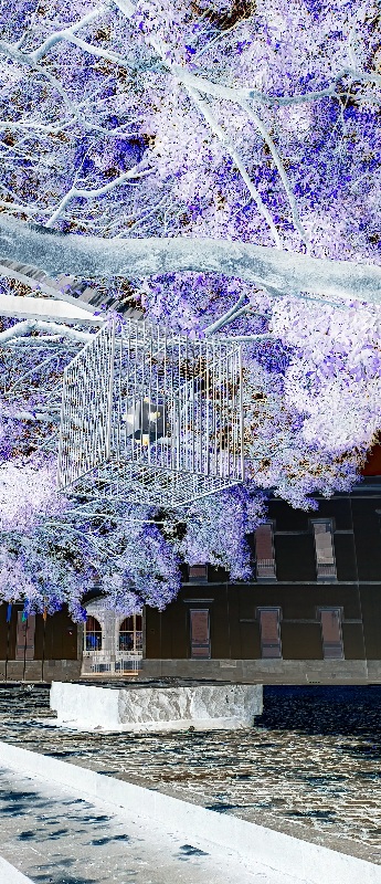 Se ve en un árbol una jaula que encierra un ojo artificial que parece que no ve, y lo ve todo