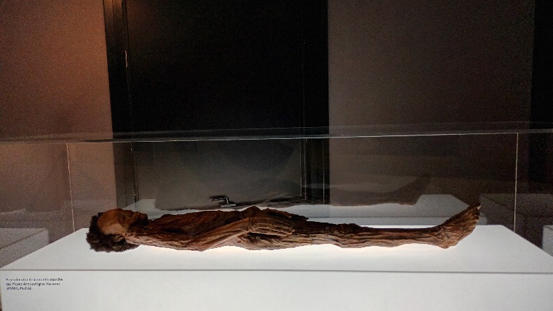 momia canaria de mil años de antigÜedad; en la época medieval de oscurantismo, aquí había amplitud de miras