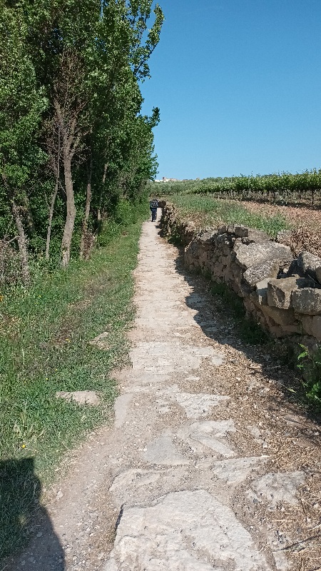 Se ve un tramo de calzada romana original camino de Cirauqui