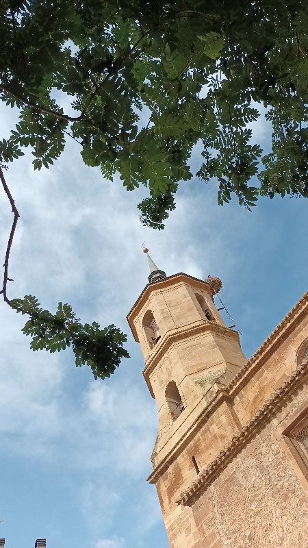 Vista del campanario de la iglesia de la Santa Cruz y su cigüeña en nájera