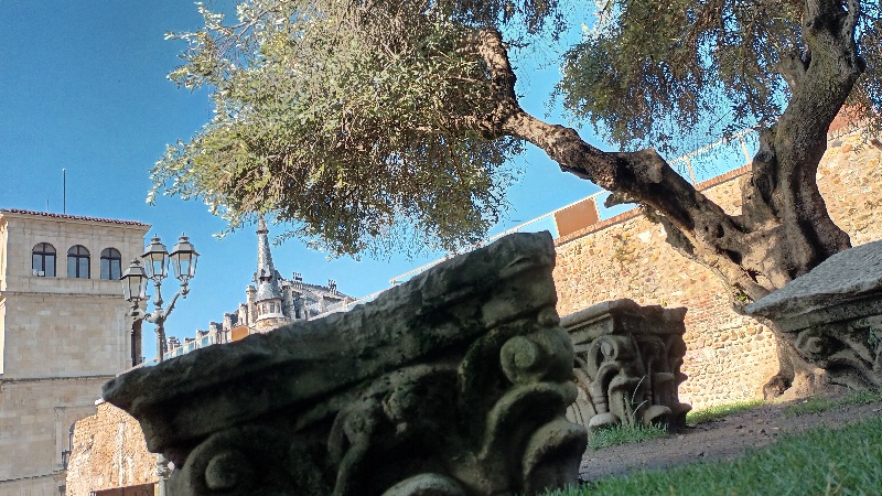 Panorámica desde un parque de León, con tilis, de viejos arcos romanos y al fondo la Catedral de León.