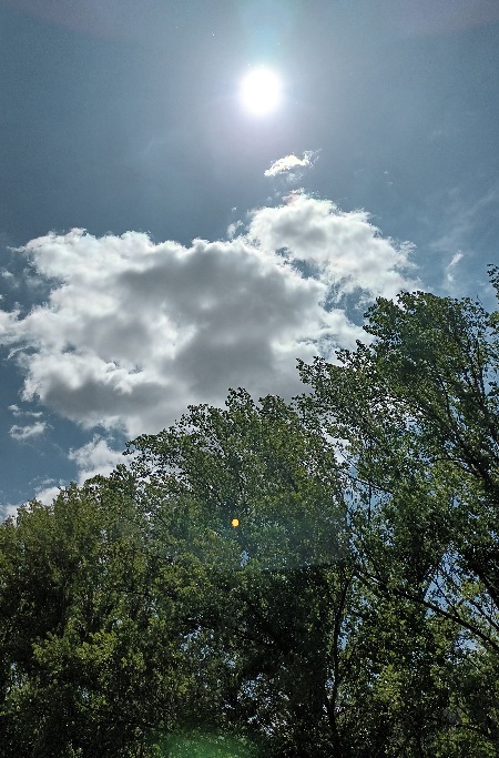 Imagen del Sol resplandeciente y brillante, luminoso, generador de seres terrícolas.