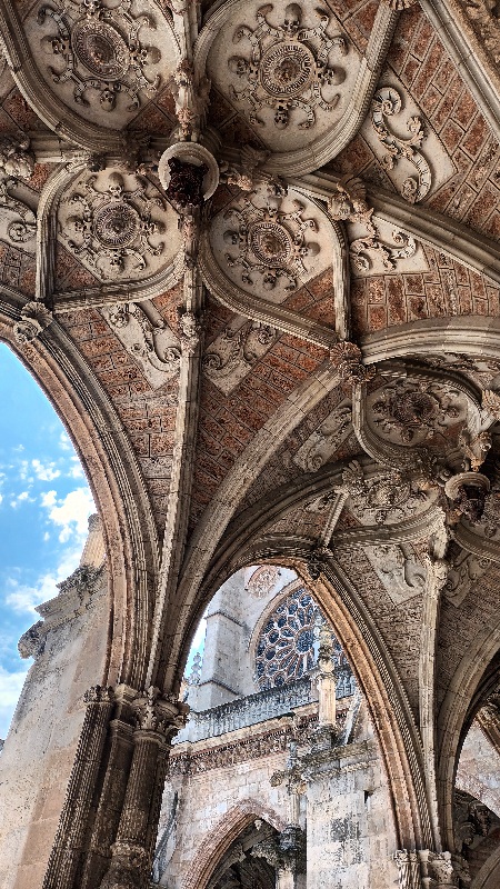 Se ve el techo de la catedral gótica de León