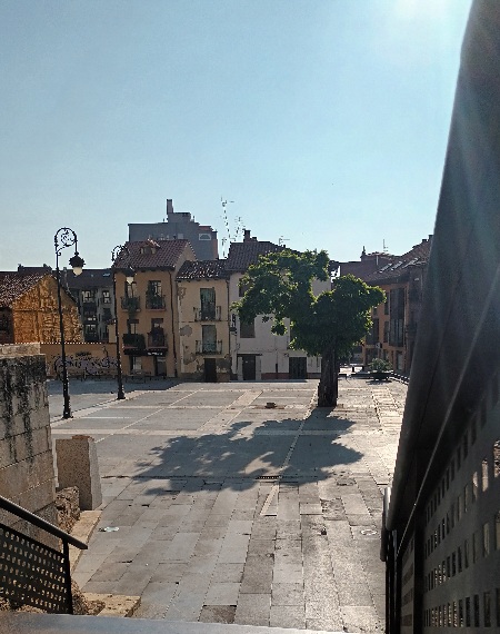 Buscaba sol y un banco solitario para saborear los olores de la mañana.